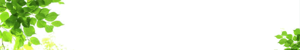 ページトップイメージ